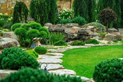 5 tips om een onderhoudsarme tuin in te richten